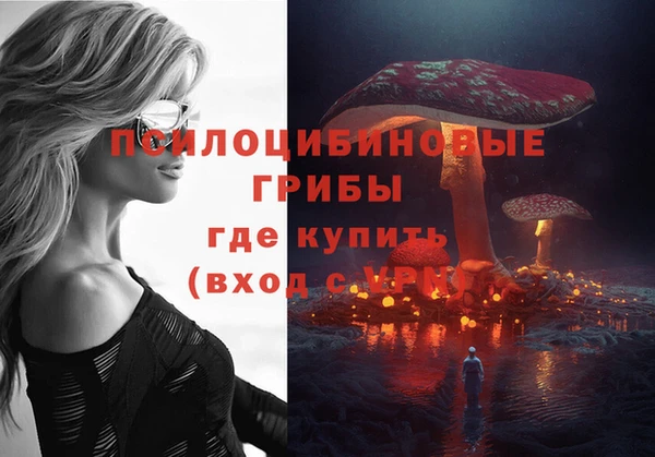 ECSTASY Арсеньев
