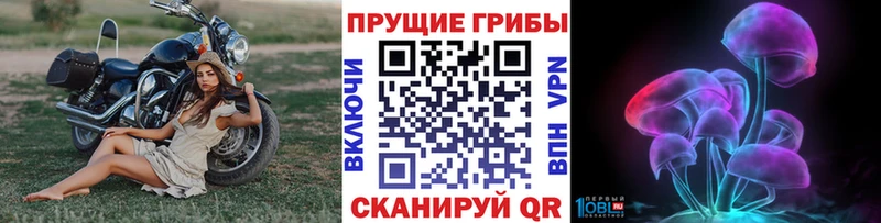 Псилоцибиновые грибы мицелий  цены наркотик  Белебей 